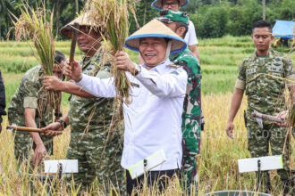 FOTO: Wagub Sulut pimpin panen raya dukung swasembada pangan nasional