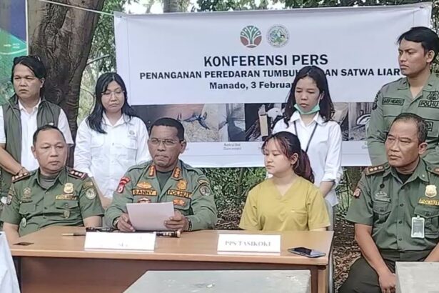 BKSDA Sulut gagalkan perdagangan satwa liar dilindungi, kakaktua hingga kasuari diamankan