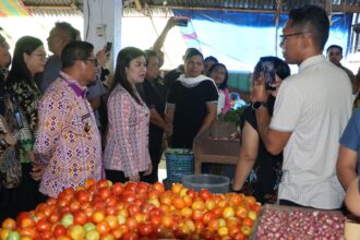 Pertumbuhan ekonomi Sitaro meningkat, berdampak bagi masyarakat