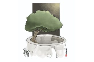 Urgensi Kecerdasan Ekologis dalam Mitigasi Bencana