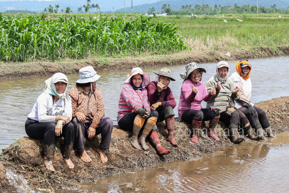 FOTO: Victor Mailangkay pimpin gerakan tanam padi demi swasembada pangan di Sulut