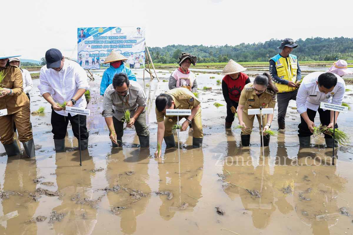 FOTO: Victor Mailangkay pimpin gerakan tanam padi demi swasembada pangan di Sulut