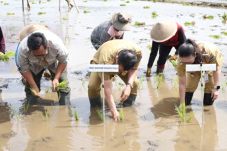 Victor Mailangkay pimpin gerakan tanam padi, tegaskan komitmen swasembada pangan