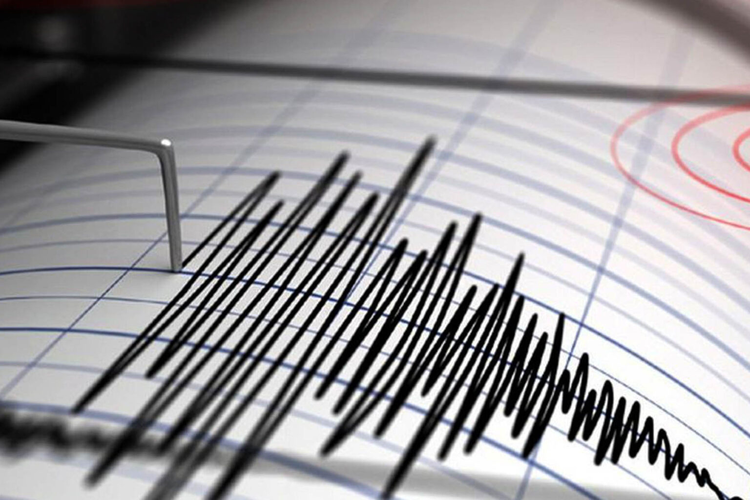 Gempa M2.9 Guncang Teluk Wondama