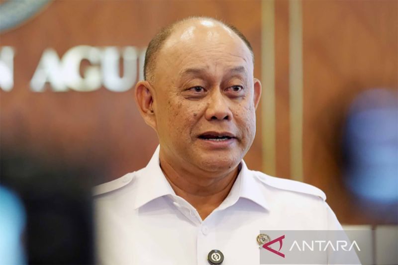 BGN Pastikan Anggaran Program MBG Transparan dan Akuntabel