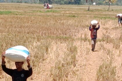 BMKG Sultra Peringatkan El Nino Moderat 2026
