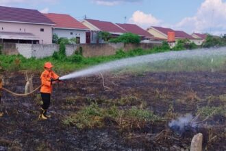 Enam Wilayah di Kalimantan Selatan Dinyatakan Rawan Karhutla