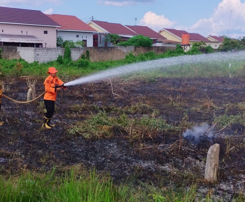 Enam Wilayah di Kalimantan Selatan Dinyatakan Rawan Karhutla