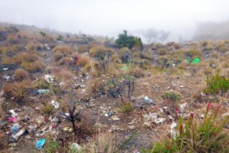 Hampir 1 Ton Sampah Diangkut dari Kawasan Bromo