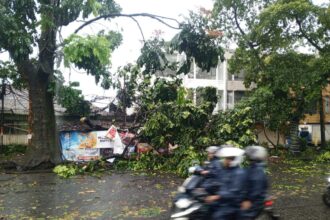 Hujan dan Angin Kencang Timbulkan Puluhan Kejadian di Bandung