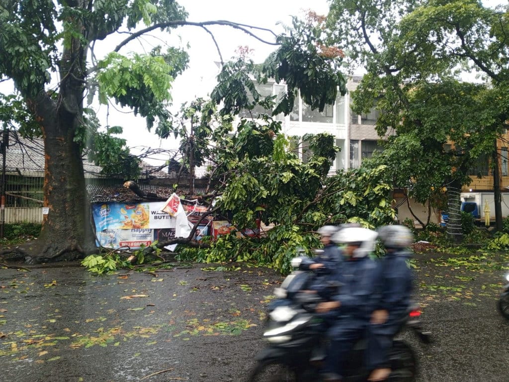Hujan dan Angin Kencang Timbulkan Puluhan Kejadian di Bandung