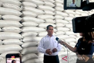 Indonesia Swasembada Pangan, Impor 5 Persen dari 11 Komoditas