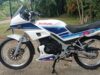 Kisah Suzuki RGR 150 di Indonesia yang Tersandung Krisis Moneter