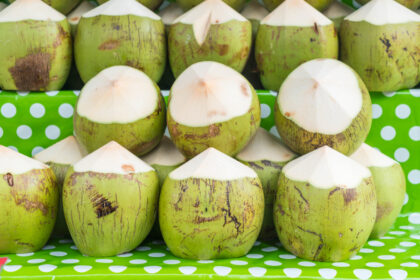 Manfaat Kelapa Muda bagi Kesehatan dan Kulit