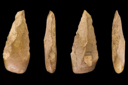Penelitian Ungkap Signifikansi Acheulean dalam Evolusi Manusia