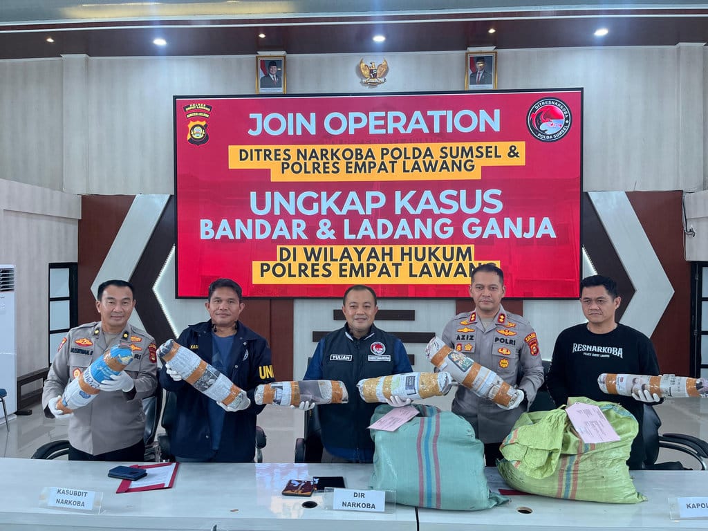 Penggerebekan Ladang Ganja 20 Hektare di Empat Lawang, Bandar Ditangkap