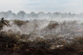 Polisi Amankan Tersangka Pembakar Hutan 500 Hektare di Pelalawan
