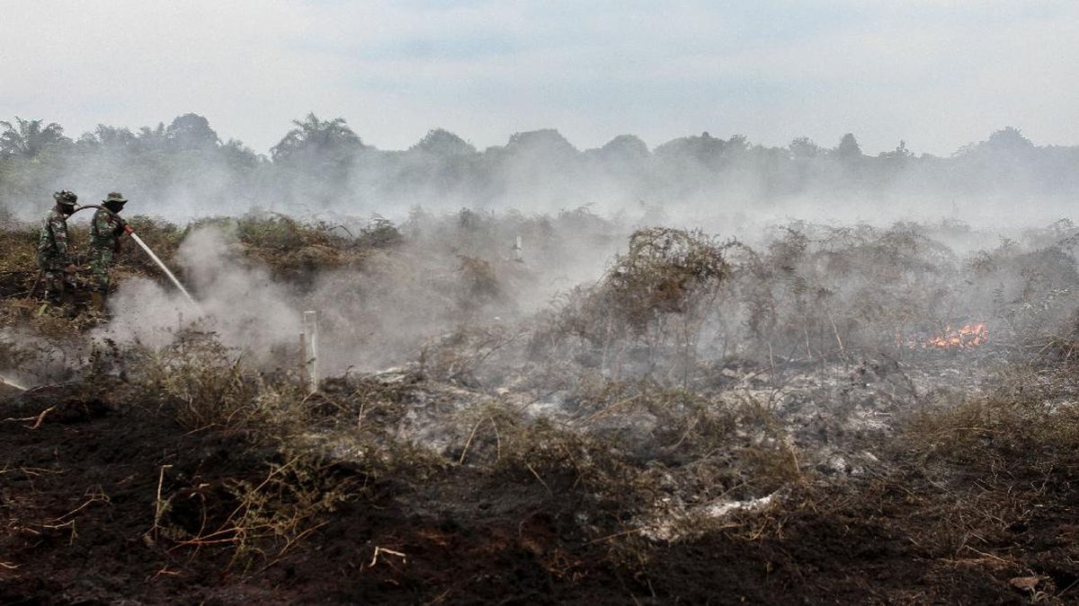 Polisi Amankan Tersangka Pembakar Hutan 500 Hektare di Pelalawan