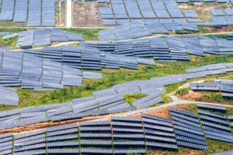 Prabowo Menargetkan 100 GW PLTS, Tantangan Lahan Mengemuka