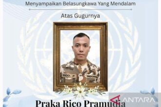 Qatar Sampaikan Belasungkawa atas Gugurnya Praka Rico di Misi UNIFIL