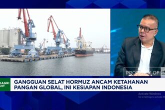 RI Genjot Produksi Kedelai untuk Perluas Swasembada