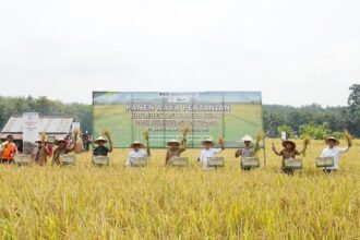 RI Siapkan Pabrik Hilirisasi Batu Bara Berkapasitas 10.000 Ton