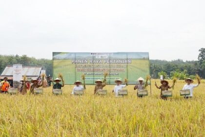 RI Siapkan Pabrik Hilirisasi Batu Bara Berkapasitas 10.000 Ton