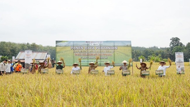 RI Siapkan Pabrik Hilirisasi Batu Bara Berkapasitas 10.000 Ton