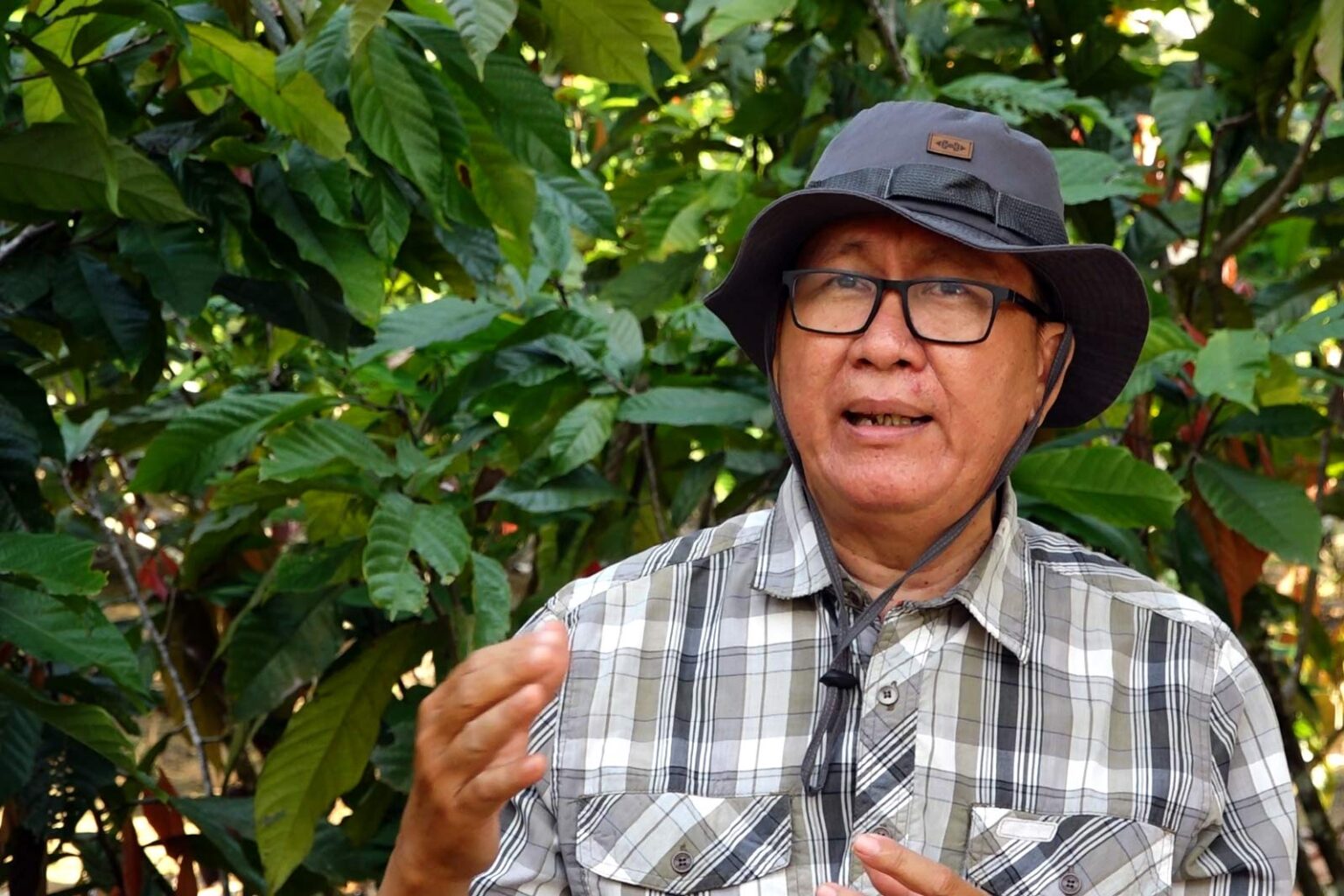 Ketimpangan di balik kebun kakao: Potret kerentanan petani di Bolaang Mongondow