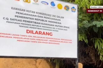 Seskab: Penertiban Kawasan Hutan Wujud Pemberantasan Korupsi