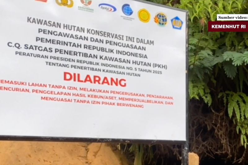 Seskab: Penertiban Kawasan Hutan Wujud Pemberantasan Korupsi