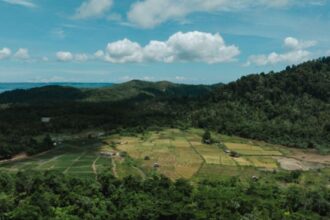 Sinergi Petani dan Industri Dorong Ketahanan Pangan Lingkar Tambang