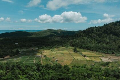 Sinergi Petani dan Industri Dorong Ketahanan Pangan Lingkar Tambang