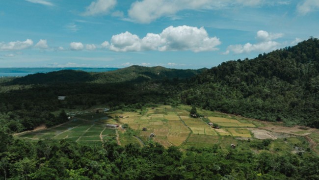 Sinergi Petani dan Industri Dorong Ketahanan Pangan Lingkar Tambang