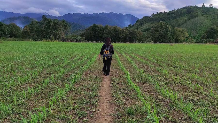 El Niño Jadi Kambing Hitam — Sawah Retak di Bolmong