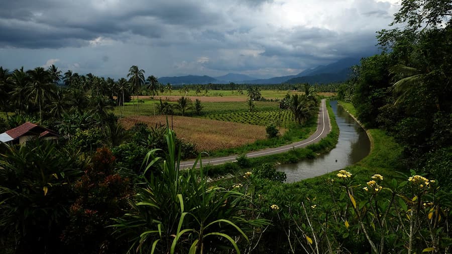 Logika Petani: Ketika Bertani Padi Tak Lagi Masuk Akal