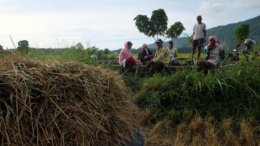 Petani Perempuan Bolaang Mongondow Menghadapi Beban Ganda
