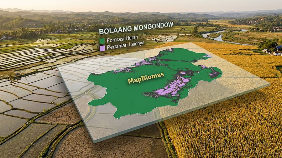 21 Tahun Perubahan Lahan Bolmong — Analisis Citra Satelit MapBiomas