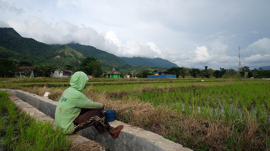 Sawah yang Menunggu Diselamatkan — LP2B Bolmong yang Tak Kunjung Ditetapkan