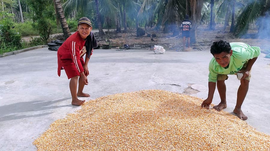 Tanah yang Mengeras — Cerita Tiga Generasi Petani Bolmong