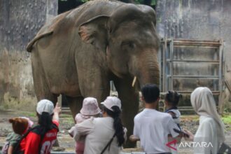 120.000 Orang Diprediksi Kunjungi Ragunan Selama Libur Panjang