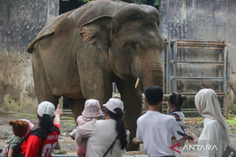 120.000 Orang Diprediksi Kunjungi Ragunan Selama Libur Panjang