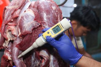 26 Negara Penerima Daging Dam Haji 1447 H, Termasuk Palestina