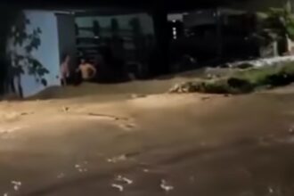 313 Keluarga di Semarang Terdampak Banjir, Tanggul Jebol Ditambal Darurat