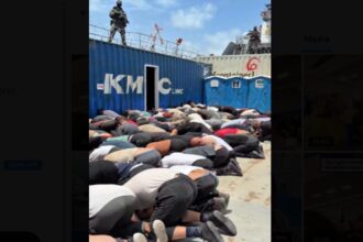 Aktivis Global Sumud Flotilla Diduga Disiksa di Tahanan Israel