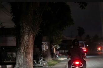Blackout Sumatra Ancam Lonjakan Harga Pangan di Sumut