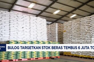 Bulog Targetkan Stok Beras Capai 6 Juta Ton