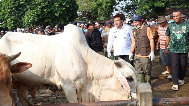 Bupati Blora Inspeksi Pasar Pon Jelang Idul Adha