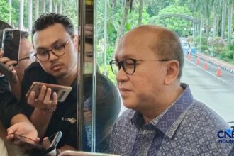 Danantara Buka Peluang Akuisisi Saham Eramet di Weda Bay Nickel