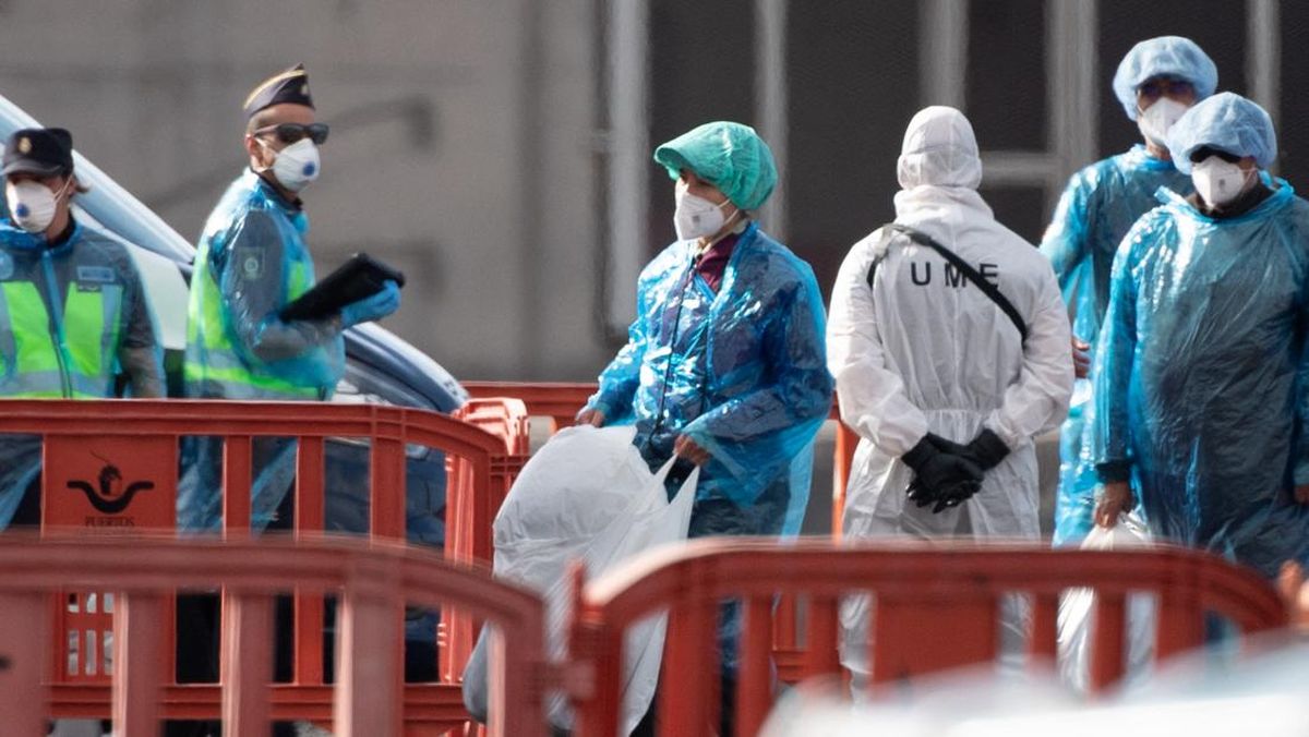 Dinas Kesehatan DKI Lapor Empat Kasus Hantavirus di Jakarta